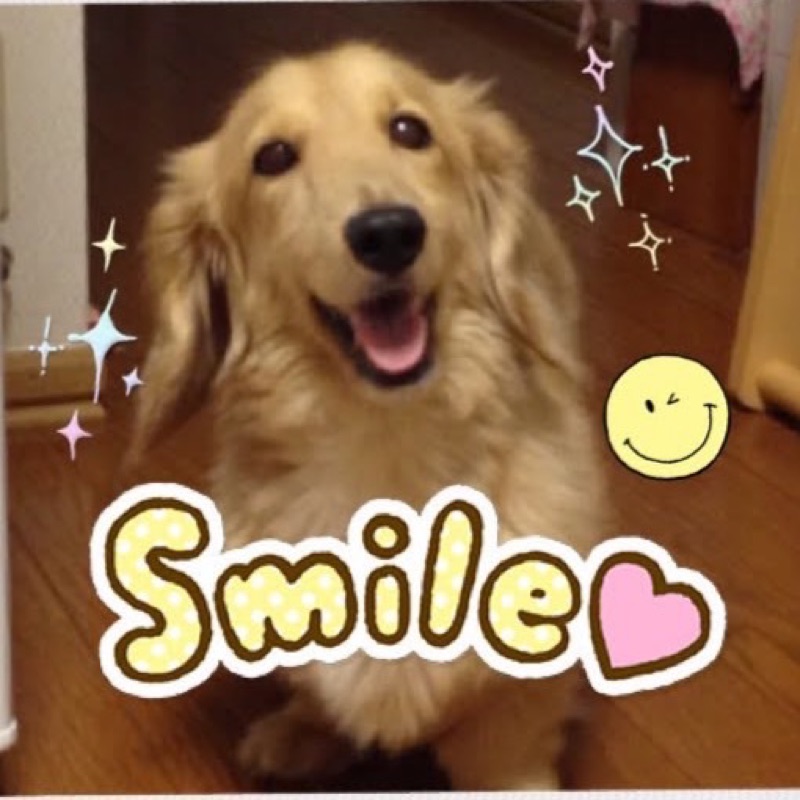 Ami