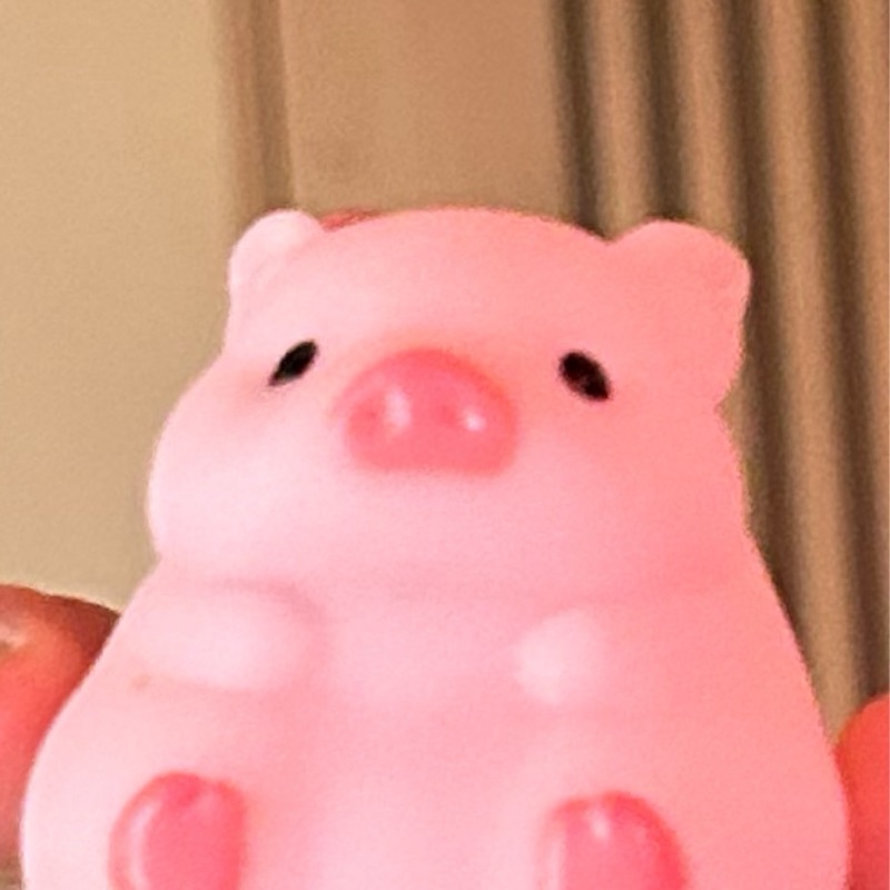 新庄輝曜