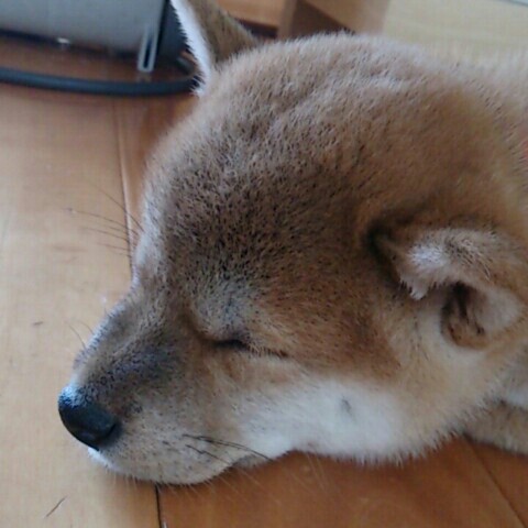 ММ
