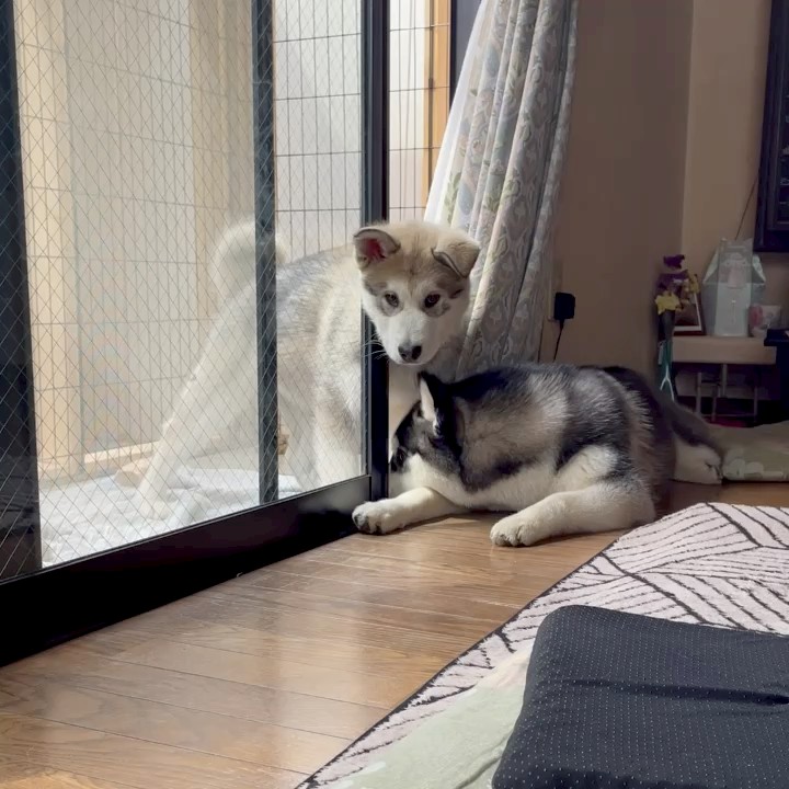 ほ。