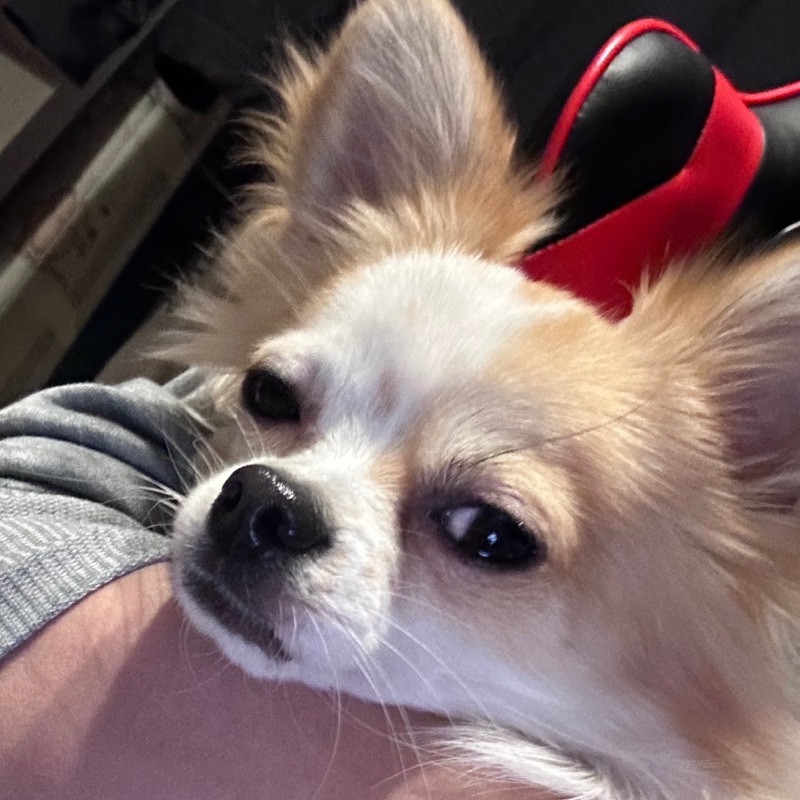 長久保 颯真