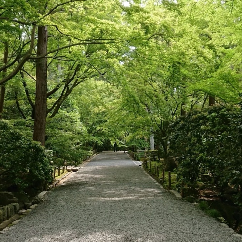 宇都宮 恵子