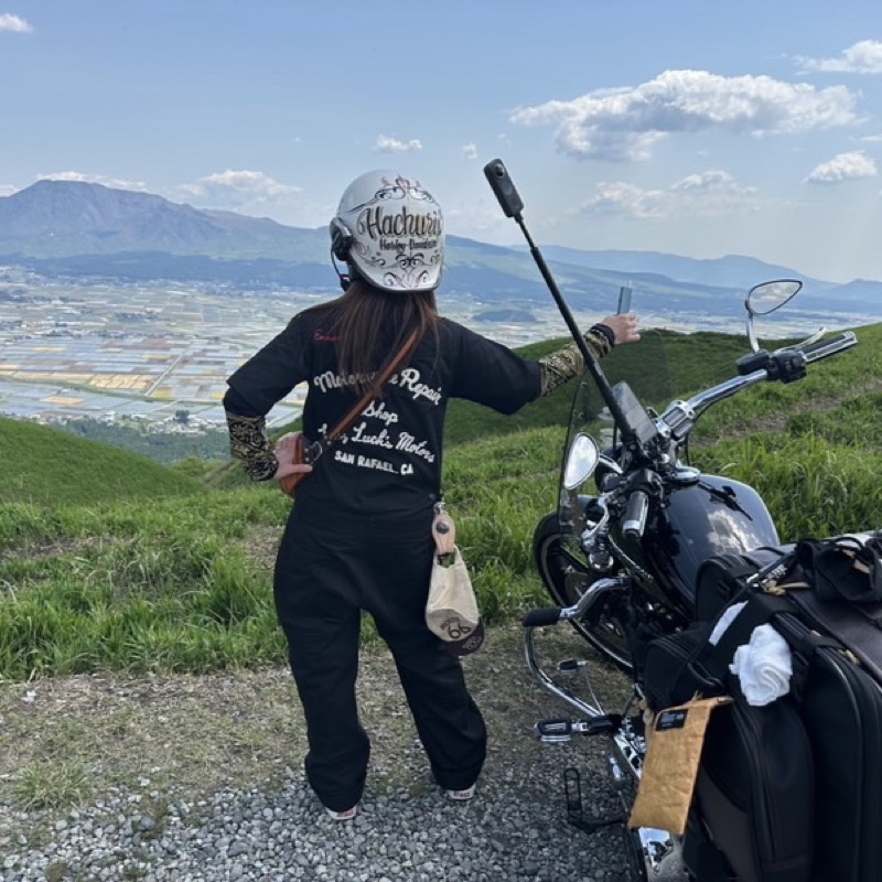 ハチュリス