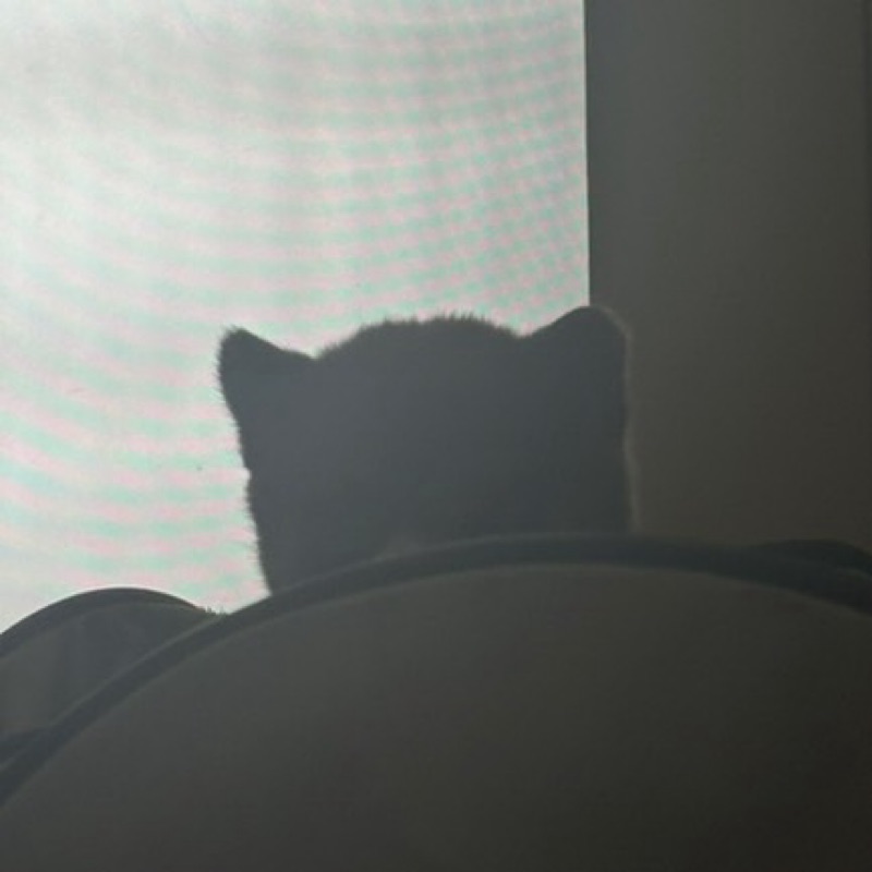 みお