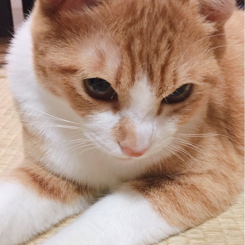中村日向野