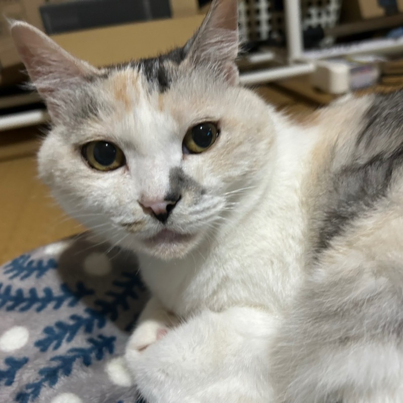 今井　竜輝