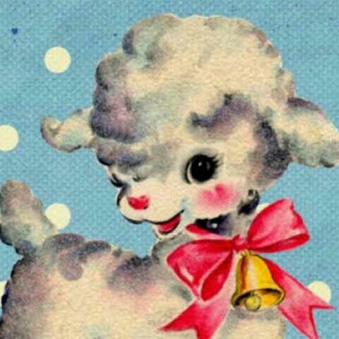 まめこ