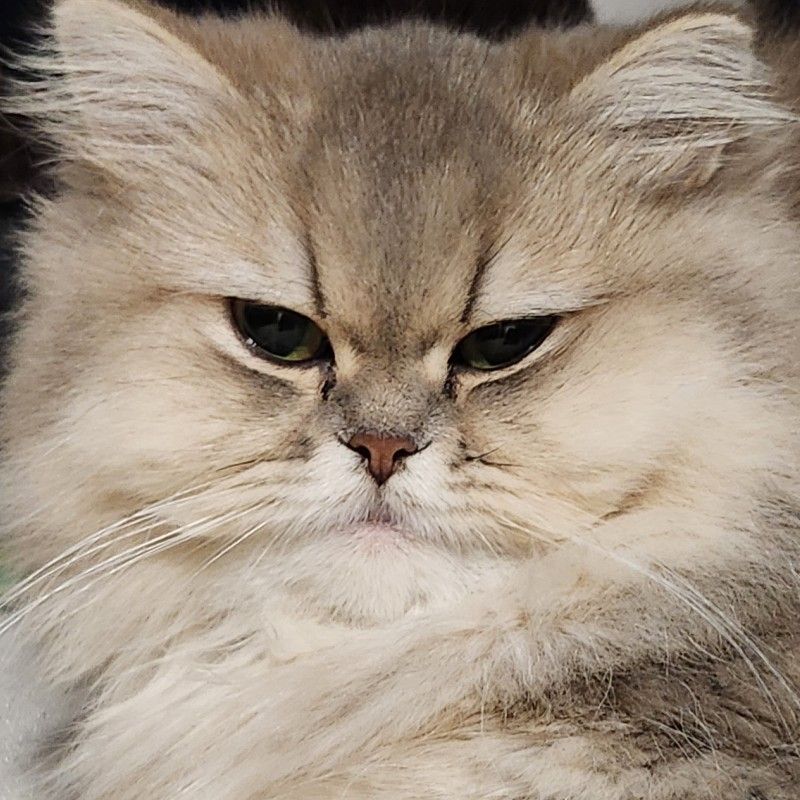 猿渡 楓歌