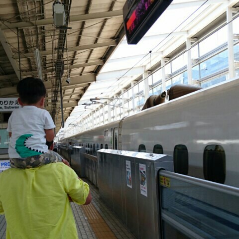 中野