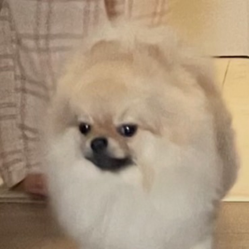 さき