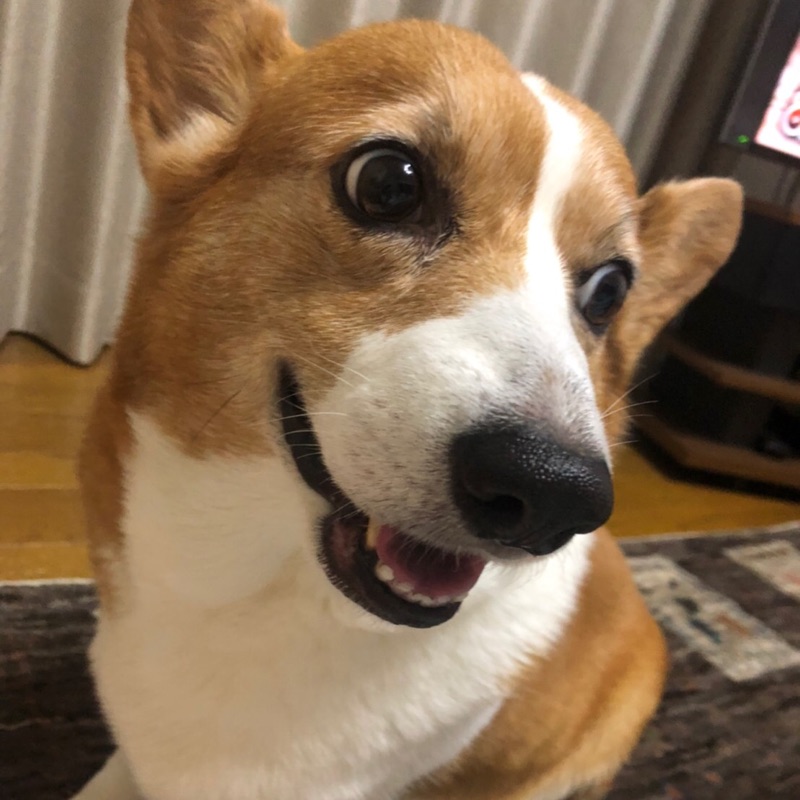 のー