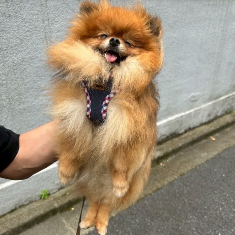 たろう