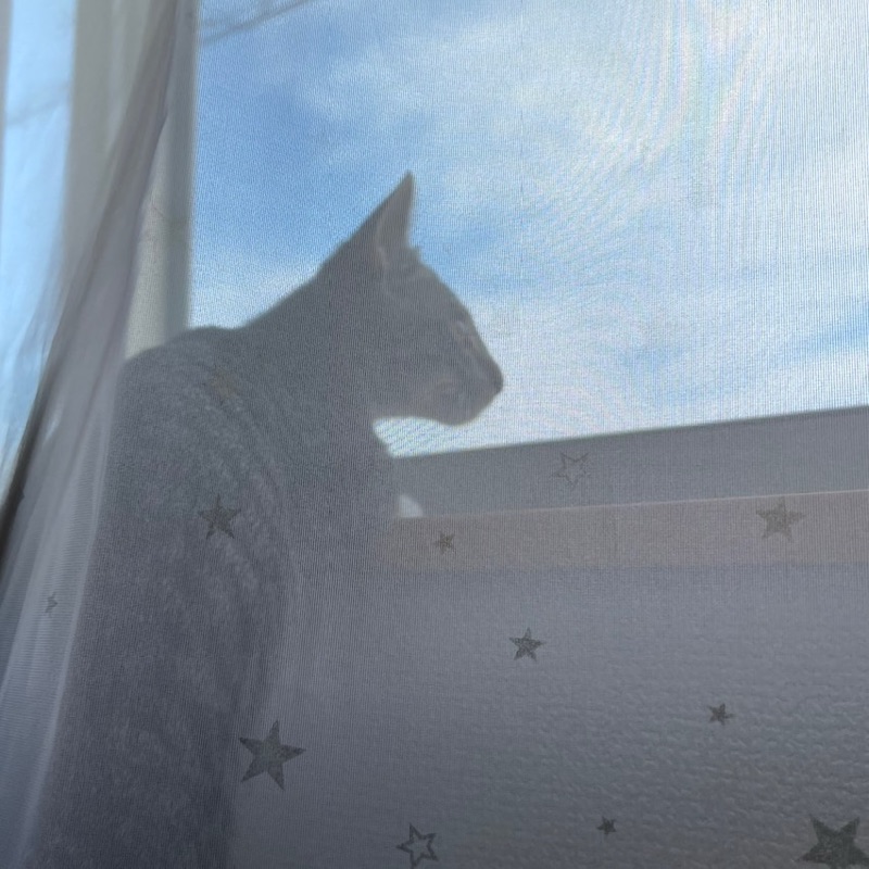 やまち