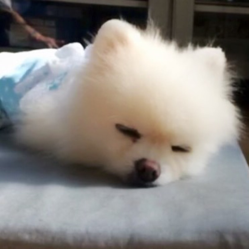 ちぴ