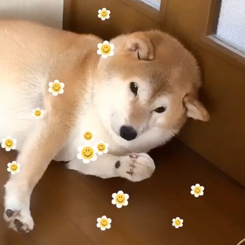 本橋貴子