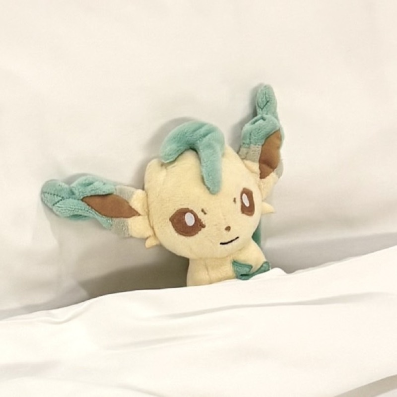 ⭐️