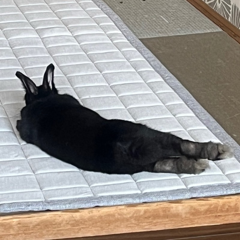 うたこま