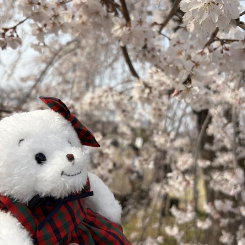 田中のり子
