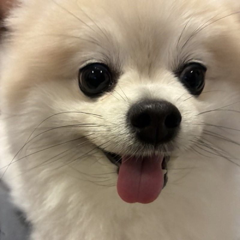 鈴木