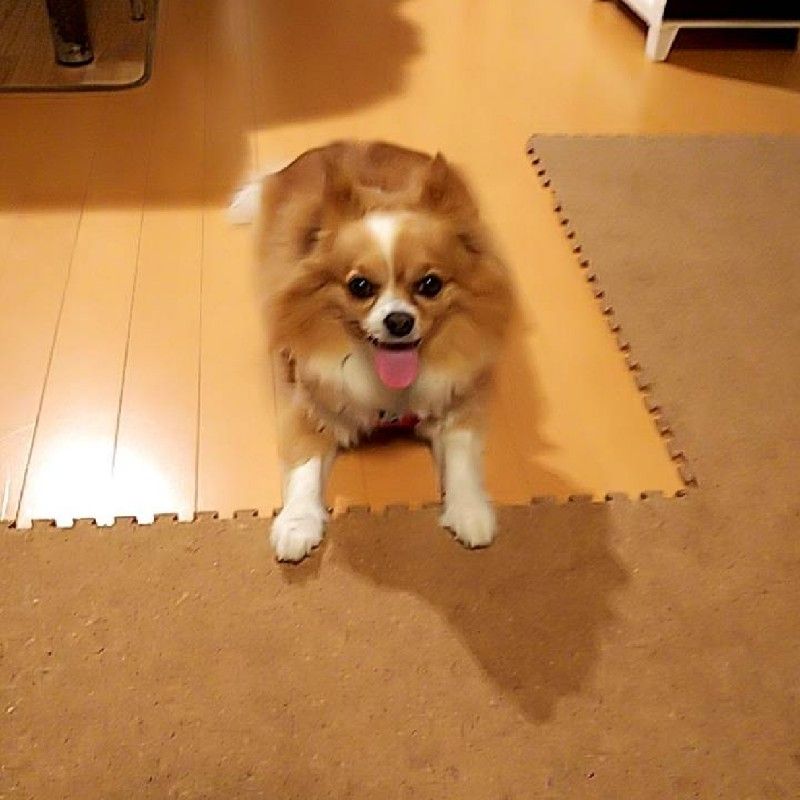 古賀清子
