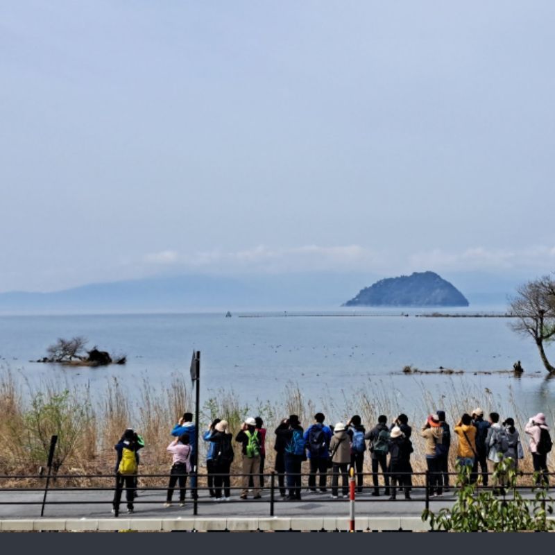 田村　ちなみ