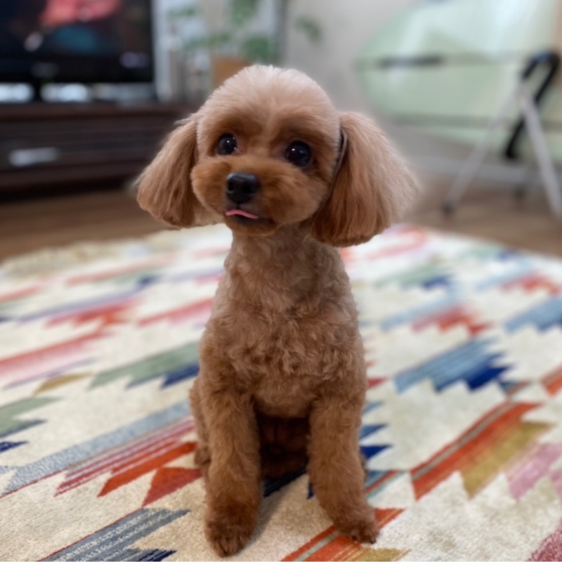 和代