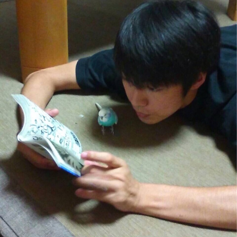 衣笠健太郎