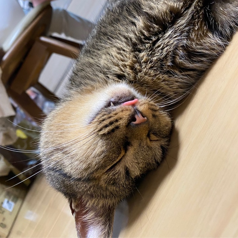 佐々木和音