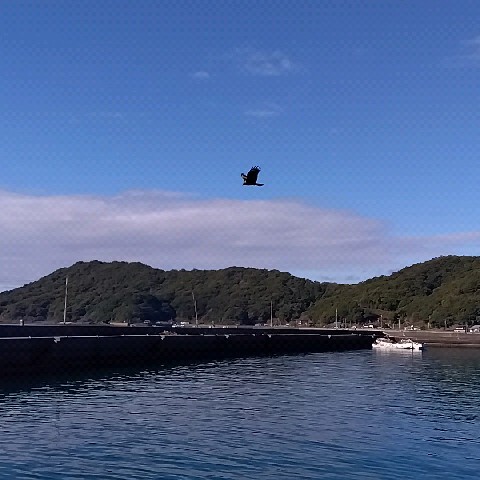 玉