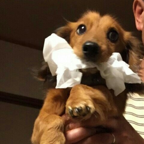 水越　たけ子