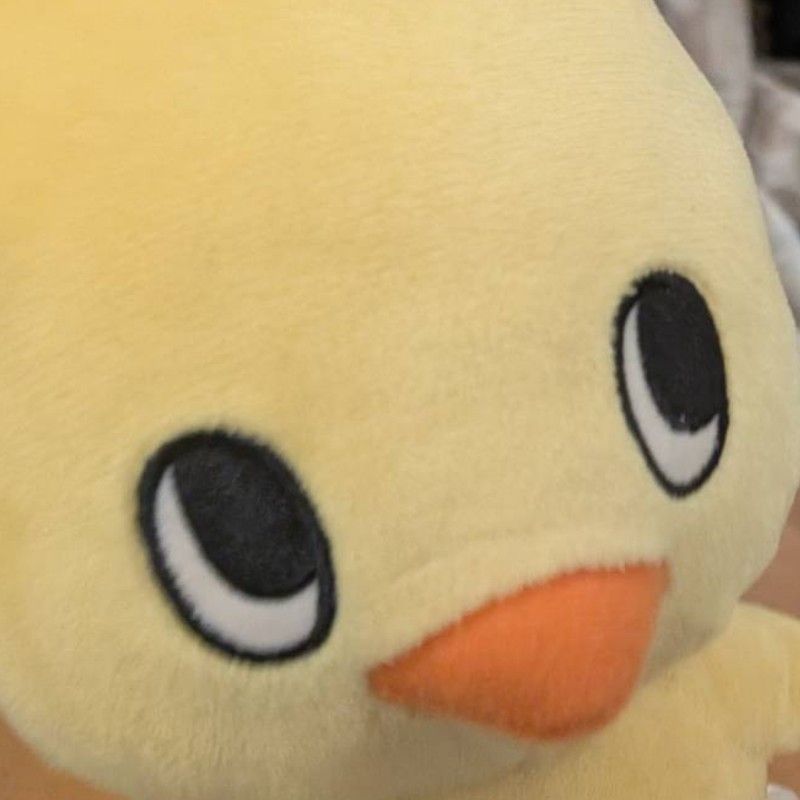 なりはこ