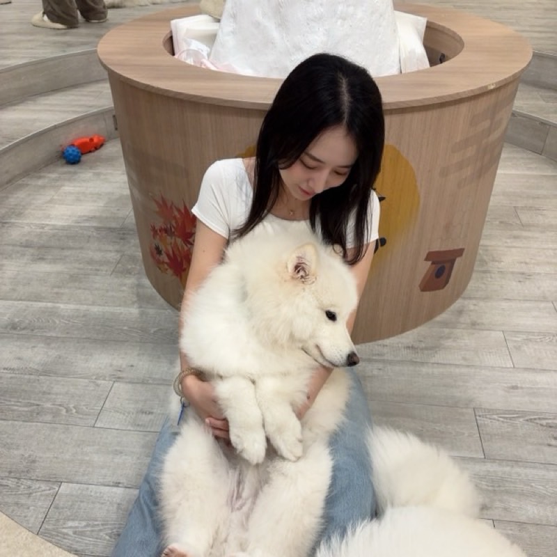 はーちゃん