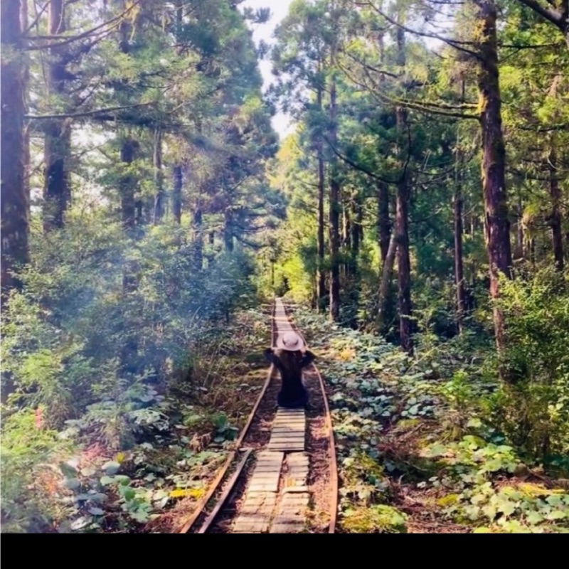 i.n