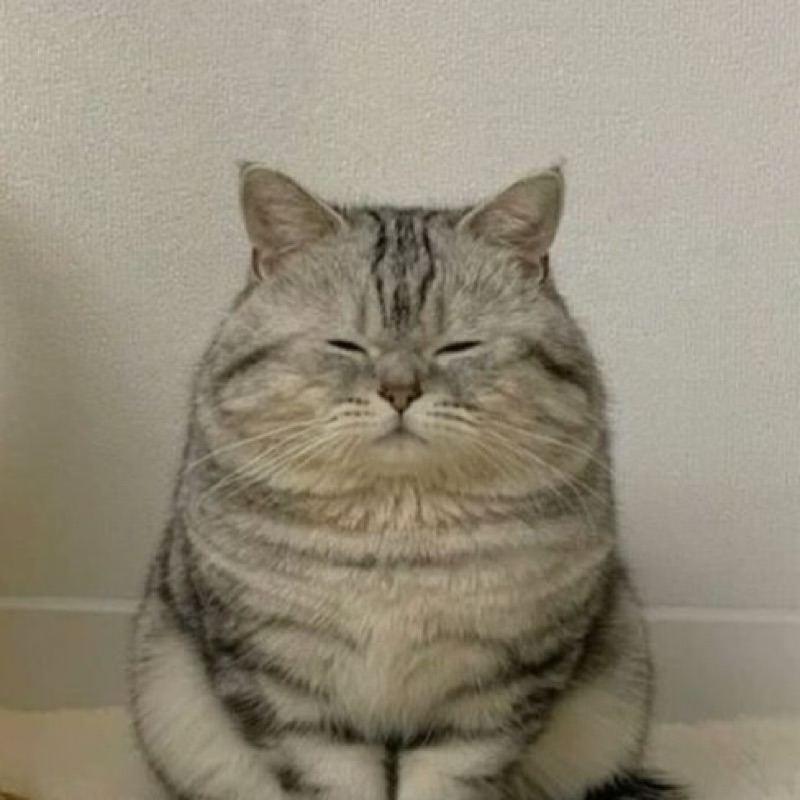マユカ