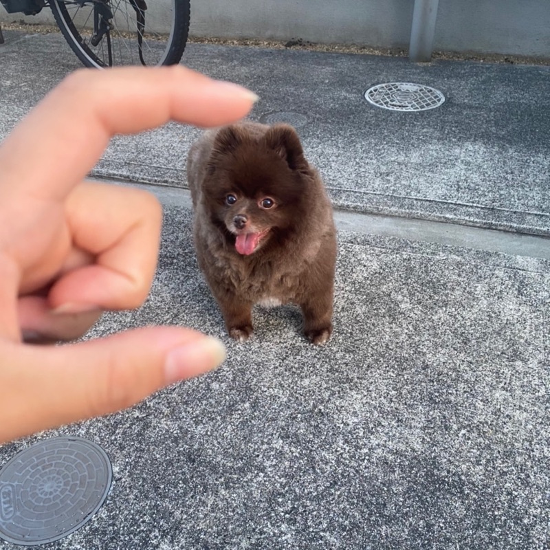 大塚玲亜