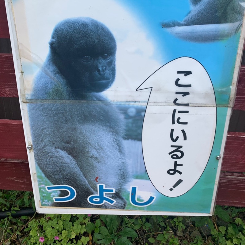 半沢剛