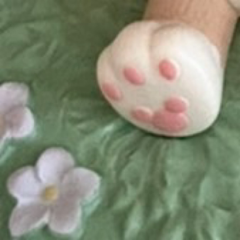 富永 智美