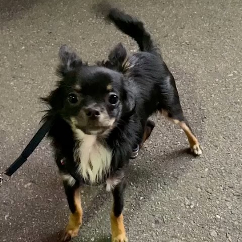 笠直子