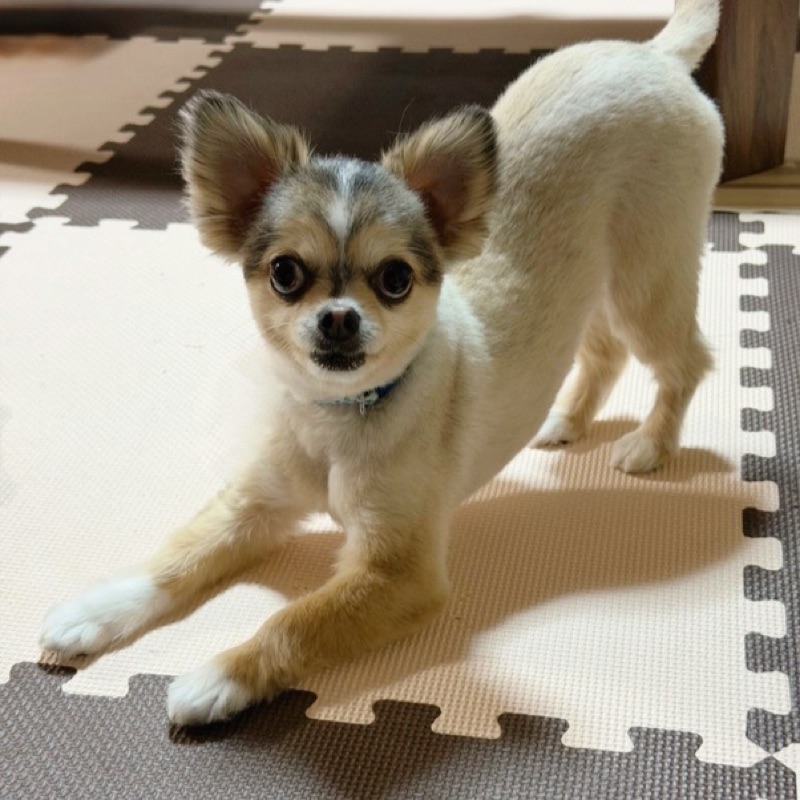 中野 秀瞭