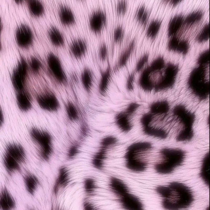 髙口愛子
