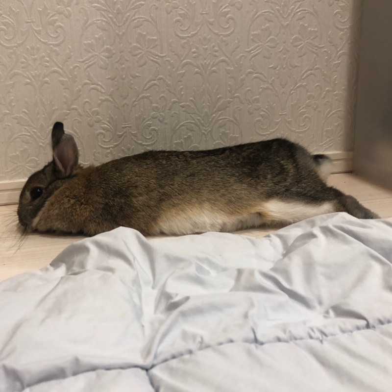 さな