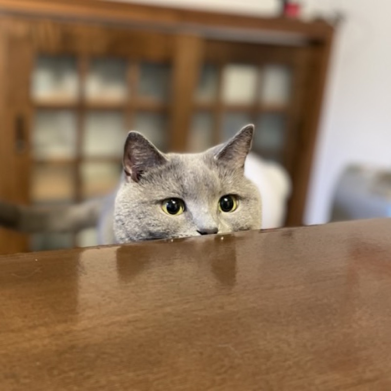 圭司