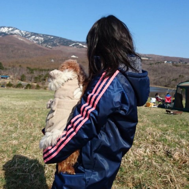 ぽん