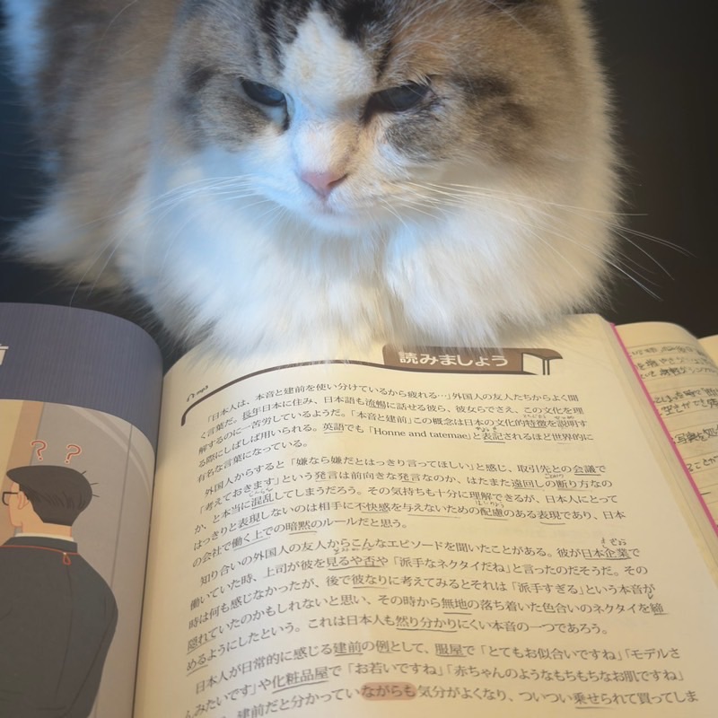 ナミ