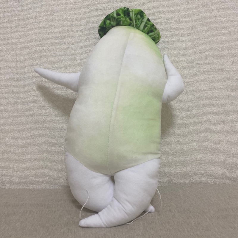 Y.S