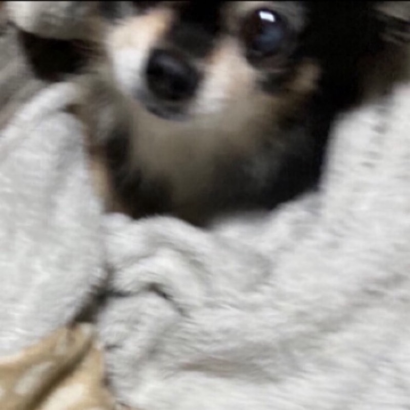 ゆら