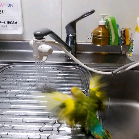 辻美智子