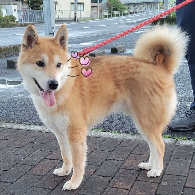 山岡 美穂