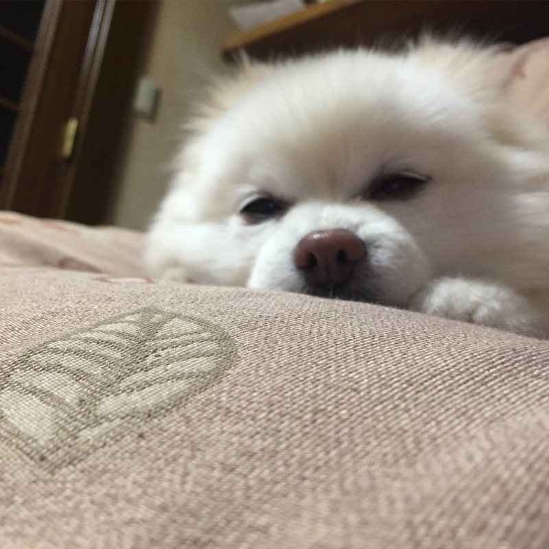 中村綾花