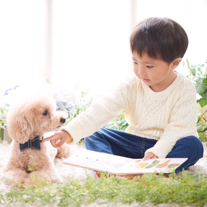 中山晶子
